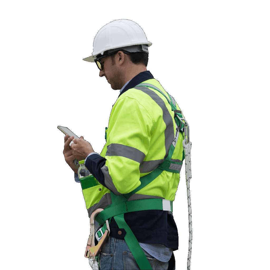 Audit and inspection